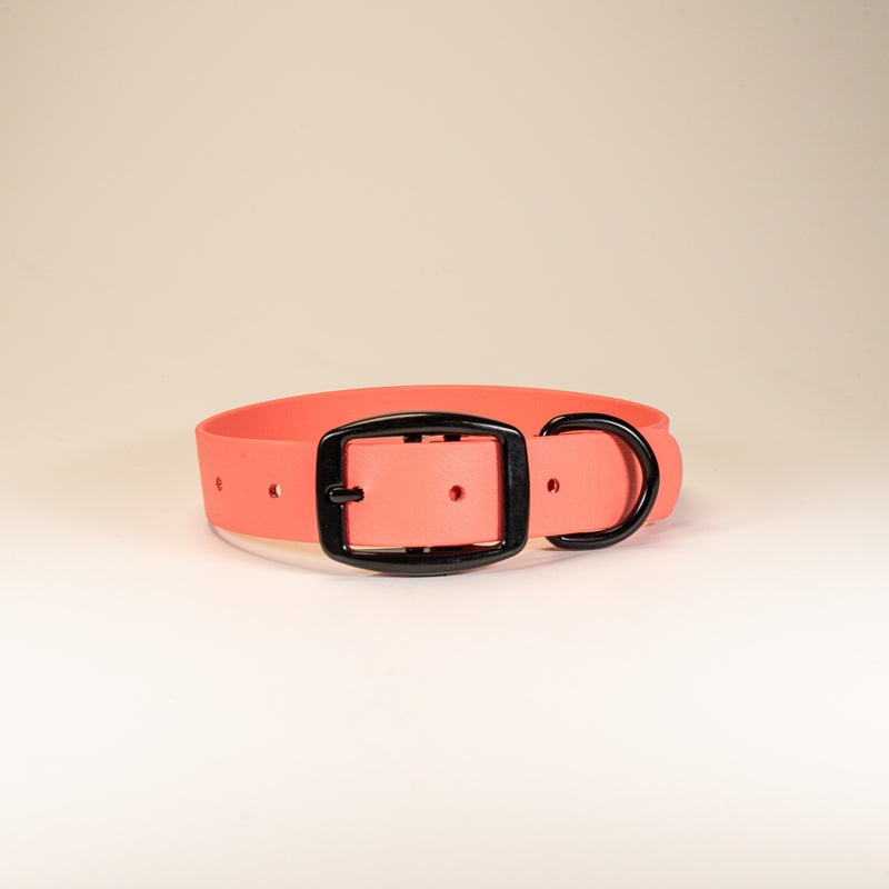 Load image into Gallery viewer, The Collar