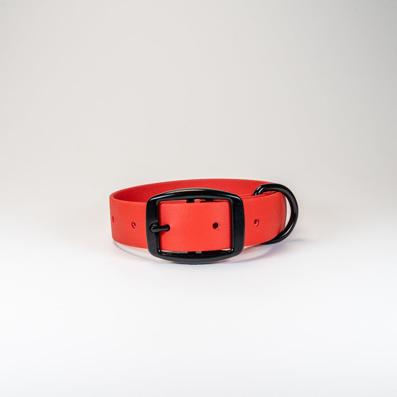 Load image into Gallery viewer, The Collar