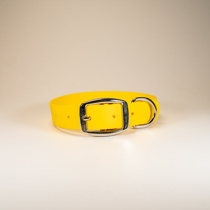 The Collar (Large and X-Large)
